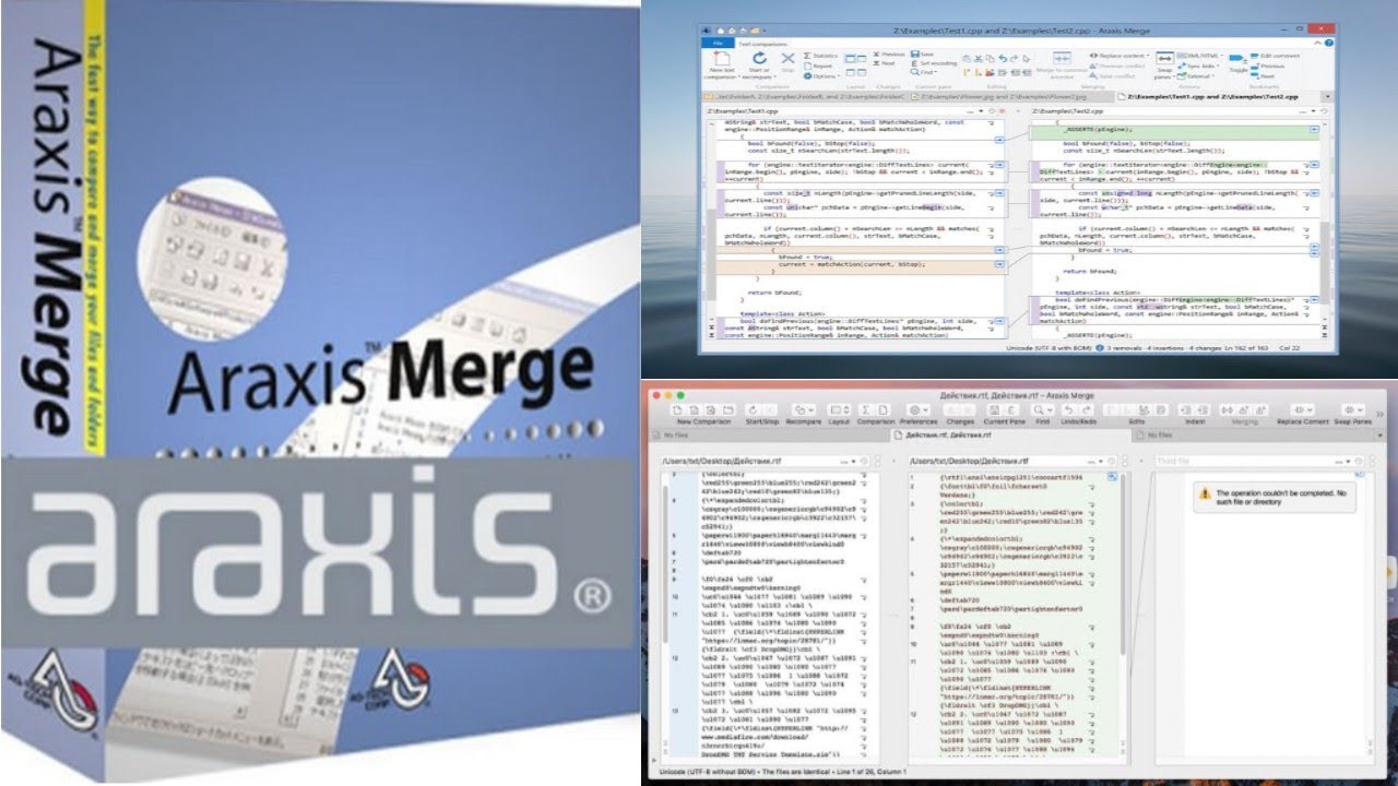 Araxis Merge Professional 2023.5954 download the new version for windows