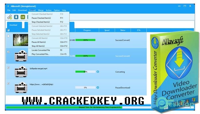 Allavsoft Video Downloader Crack Download