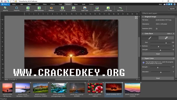 crack photopad image editor