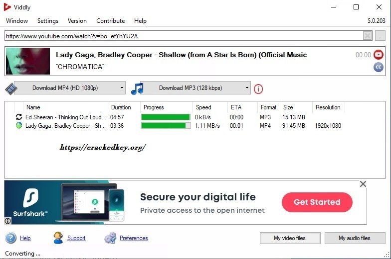 Viddly YouTube Downloader Download